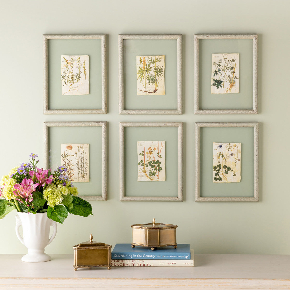 Floating Framed Botanical Prints Hung on Wall