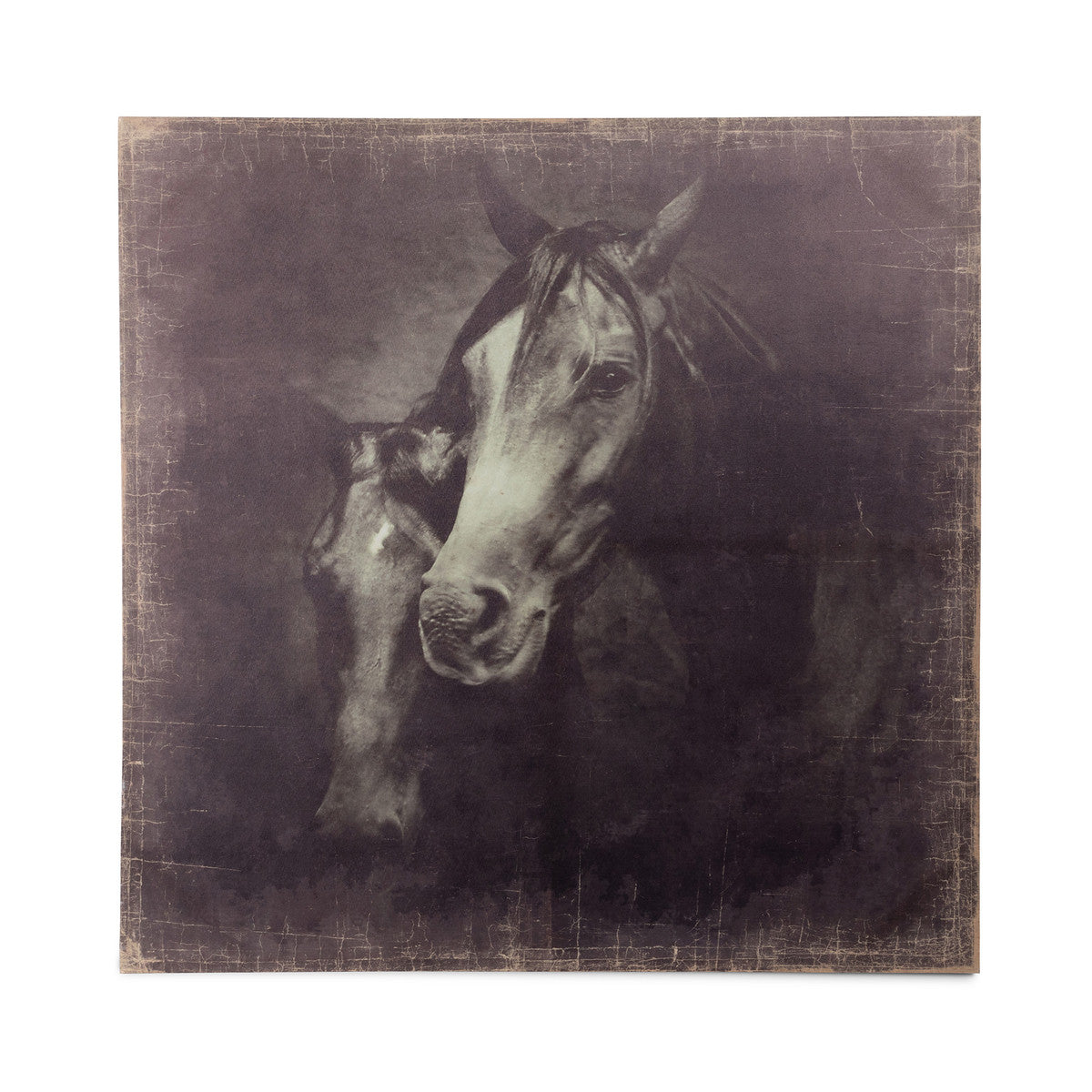 Unbridled Canvas Prints