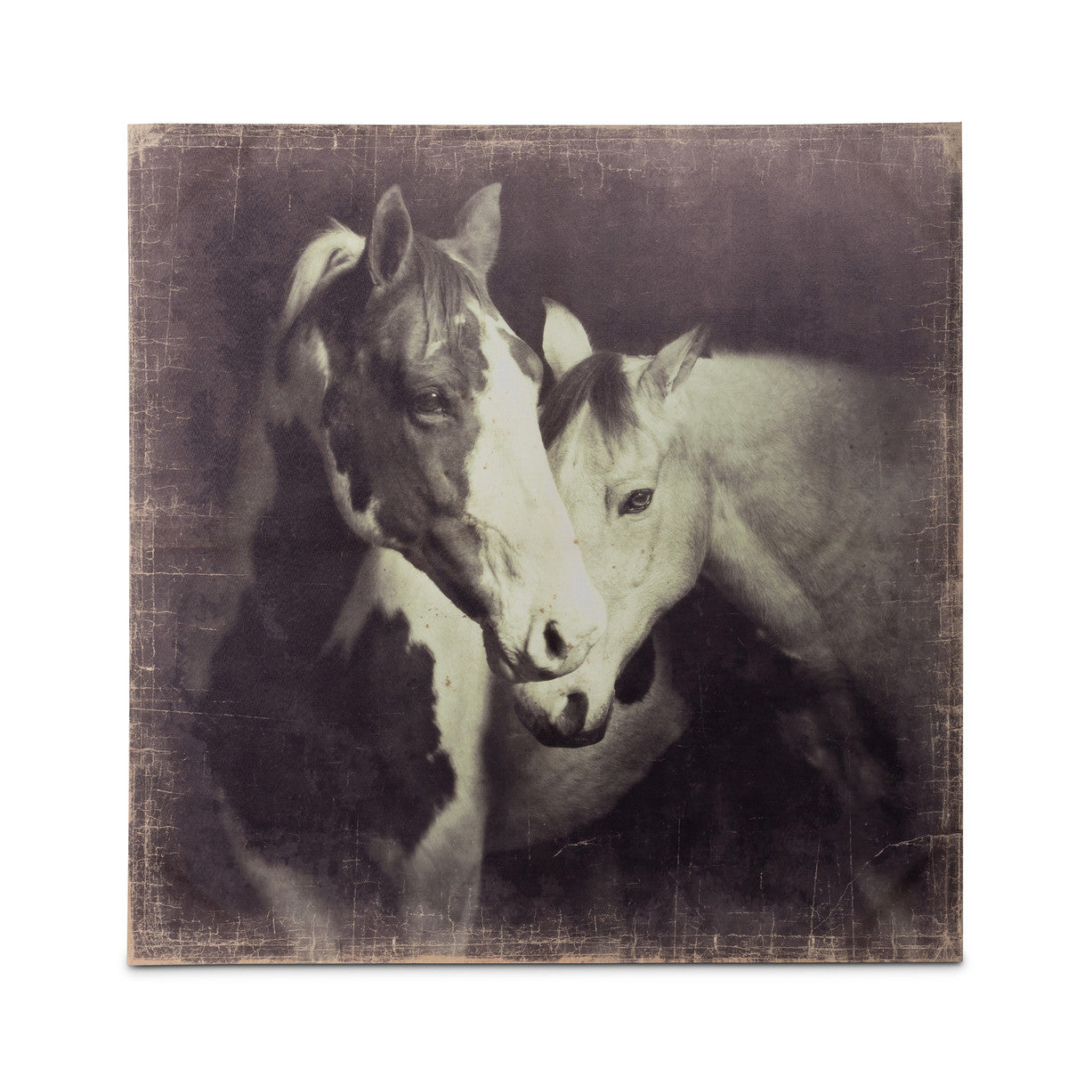 Unbridled Canvas Prints